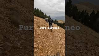 Puro pirineo mtb pirineus bttlife mountainbike bici bicicleta trilhos mtb btt espanha [upl. by Ocsicnarf]