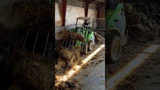 Powerful Mini Tractor Wipes Out Manure in Seconds 🐄🚜 [upl. by Ateval519]