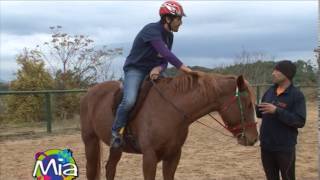 Cavallo i primi passi in sella [upl. by Armbruster284]