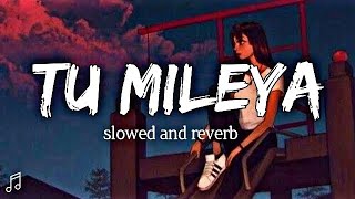 tu mileya lofi song  slowed reverb love lofi songs lx lofi [upl. by Hildy]