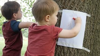 Tree Bark Rubbing  Outdoor Activities 1 [upl. by Zelikow]