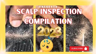 Best of 2023 Scalp Inspection 🧐 natural scalp asmr subscribe [upl. by Enomis]