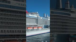 carnival magic in Cozumel Mexico November 12 2024 [upl. by Lebazi5]