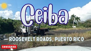 Roosevelt Roads Ceiba PUERTO RICO in 4K Drive through abandoned areas 2024 [upl. by Lebam]