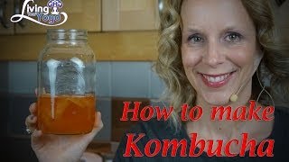 How to make and grow continuous Kombucha [upl. by Varion]