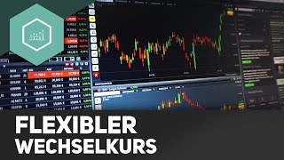 Flexibler Wechselkurs  einfach erklärt [upl. by Arva680]