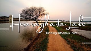 Discover the Beauty of Hesaraghatta Lake A Scenic Adventure in Bangalore [upl. by Aytak31]