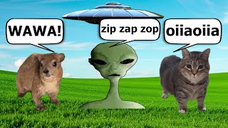 Hyrax and oiiaoiia spinning cat vs Alien Speaking Meme [upl. by Annoyek768]