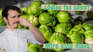 ¿ODIAS las COLES de Bruselas MIRA ESTE VIDEO  Probando la verdura que más odio [upl. by Pardo]