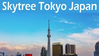 Tokyo Skytree  Tokyo Skytree Tower  Japan Visit  Walk in Tokyo Japan  Tokyo walk toward skytree [upl. by Novrej414]