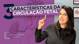 3 Características da Circulação Fetal [upl. by Aroc859]