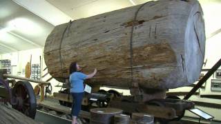 The Kauri Museum Matakohe Northland New Zealand  1 min 3 secs [upl. by Inahet]