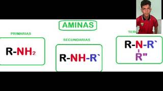 Video educativo sobre las aminas [upl. by Kosey]