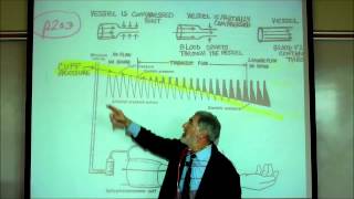 CARDIAC PHYSIOLOGY PART 4 by Professor Finkwmv [upl. by Adeline]