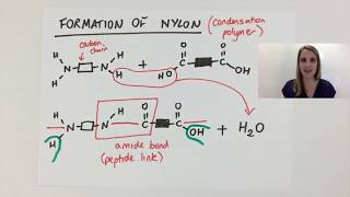 Simple Condensation polymerisation polymer explained using nylon GCSE [upl. by Acinonrev]