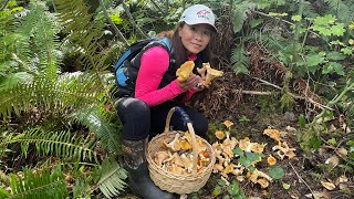 Chanterelle mushrooms harvesting in Oregon part 2 Lunch Time with Friends [upl. by Atiuqrehs]