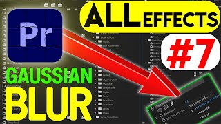 GAUSSIAN BLUREasy Blur Effect TutorialALLEvery Effect in Adobe Premiere Pro 2023 Explained Ep7 [upl. by Aleta]