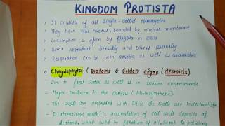 Class 11th  Kingdom protista  Biological Classification Part2  Chapter2 NOTES [upl. by Aneral]