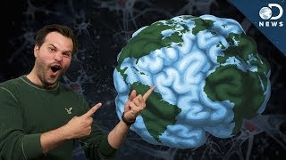 How Does Your Brains GPS Work [upl. by Aztinaj273]