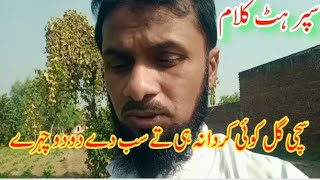 beautiful Kalam Mian Muhammad bakhsh 2024  sacchi gal Koi karda naahi sab de do do chehre [upl. by Zweig157]