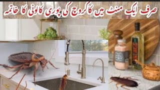 Safe And Effective Way To Kill CockroachesRemedies To Get Rid Of CockroachesKitchen tips amp tricks [upl. by Laura]