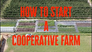 From Idea to Reality Starting Your Own Cooperative Farm [upl. by Silvie81]