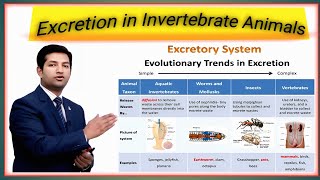 lec6excretion in invertebrates class 12 by pgc [upl. by Romulus]