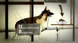 Psyc 104 Week 3  Classical Conditioning Pavlov [upl. by Kcirdahs]