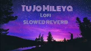 Tu Jo Mileya song lofi slowed reverb [upl. by Hewitt755]