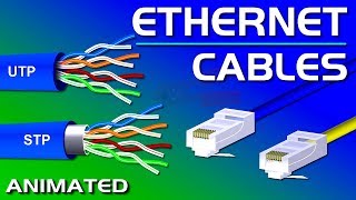 Ethernet Cables UTP vs STP Straight vs Crossover CAT 55e678 Network Cables [upl. by Letnom88]