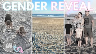 Its a 🩵🩷 GENDER REVEAL AT THE BEACH [upl. by Aneej]