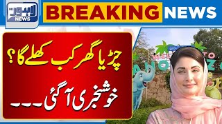 Big News When Will Lahore Zoo Open  Lahore News HD [upl. by Rolyab]