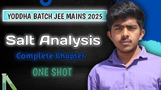 COMPLETE SALT ANALYSIS IN ONE SHOT REVISION LECTURE FOR JEE MAINS 2025  YODDHA JEE 2025 BATCH [upl. by Sanyu214]