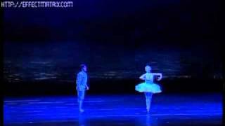 Swan Lake Julio Bocca Alina Cojocaru Bocca Last Perfomance [upl. by Elly10]