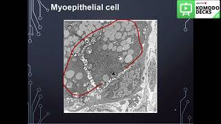 Salivary gland Histology practical part 1 [upl. by Charyl]