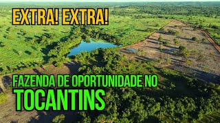 FAZENDA DE DUPLA APTIDÃO À VENDA NO TOCANTINS COM PREÇO BAIXO [upl. by Grier507]