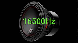 Tone frequency 16500Hz Test your hearing speakersheadphonessubwoofer [upl. by Balbur]