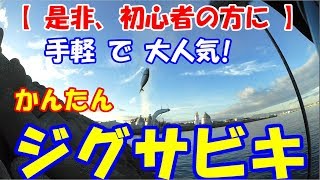 【ジグサビキ】エサを使わない 手軽で 大人気 の ジグサビキ  初心者 もきっと釣れる！ 漁港・波止・堤防・防波堤などで 簡単 フィッシング [upl. by Ahseiyn]