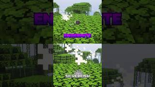 Hidden Truth About Endermite shorts [upl. by Geiss254]