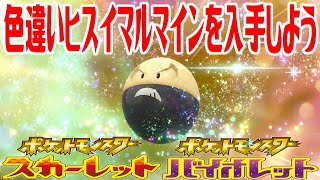 【ポケモンSV】色違いヒスイマルマインを入手しよう 進化入手【ポケットモンスター スカーレット・バイオレット ゼロの秘宝 藍の円盤】Pocket Monsters [upl. by Euqcaj]