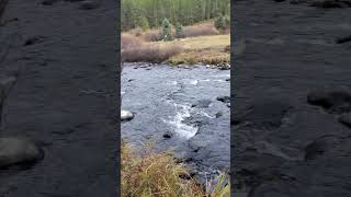 Langhor Creekside Trail Hyalite Reservoir Bozeman Montana nature blessedeveryday bozeman [upl. by Gnilrits421]