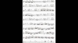 SMercadante POLACCA from Flute Concerto D duraccompaniment [upl. by Ramahs]