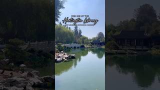 Huntington Library Art Museum amp Garden Botanicals TravelVlog pasadenacalifornia Travel Travel [upl. by Rtoip]