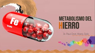 Metabolismo del Hierro [upl. by Wampler952]