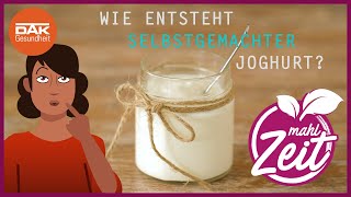 Wie entsteht Joghurt  mahlZeit  DAKGesundheit [upl. by Bradleigh]