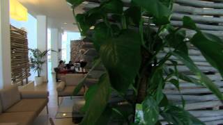 SEABANK RESORT amp SPA ALL INCLUSIVE [upl. by Enelhtak]