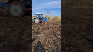 Mtz belarus drift [upl. by Catlee479]