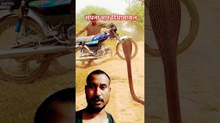 Anaconda saamp video shorts youtube funny tiger animaltrap [upl. by Ikcim474]