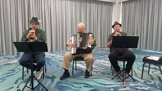 The Lumberjack March Ulmer Trio Jam Session  Myrtle Beach South Carolina October 2024 [upl. by Llorre224]