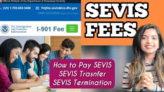 How to Pay the SEVIS Fee in 2022  SEVIS Transfer amp SEVIS Termination [upl. by Banerjee567]